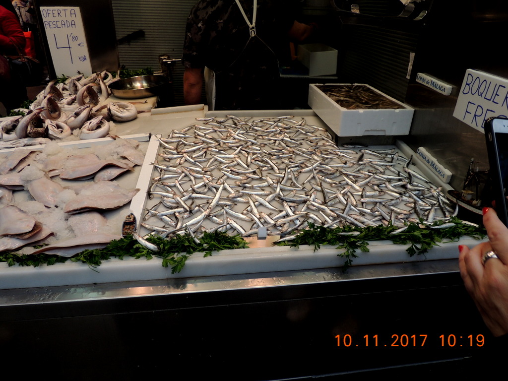 Foto n.18 - (Cliccare per chiudere la finestra)