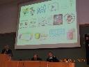 Foto n.2 - (cliccare per ingrandire la foto)