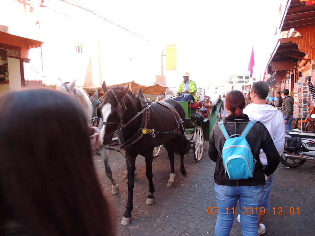 Foto n.31 - (Cliccare per chiudere la finestra)