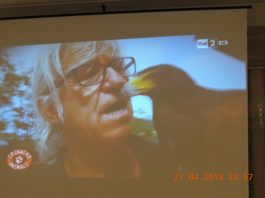 Foto n.8 - (Cliccare per chiudere la finestra)