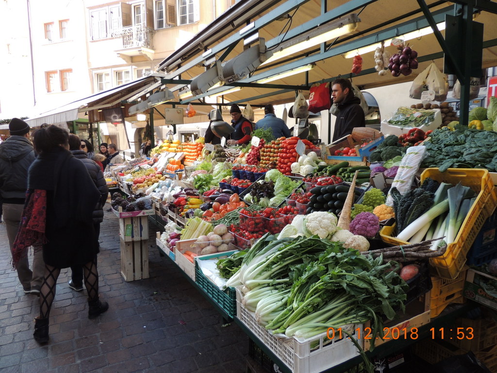 Foto n.23 - (Cliccare per chiudere la finestra)