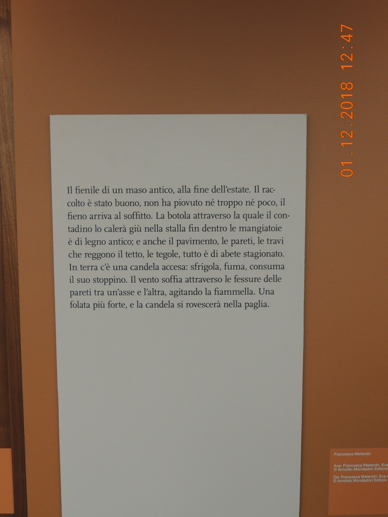 Foto n.29 - (Cliccare per chiudere la finestra)