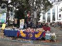 Foto n.1 - (cliccare per ingrandire la foto)