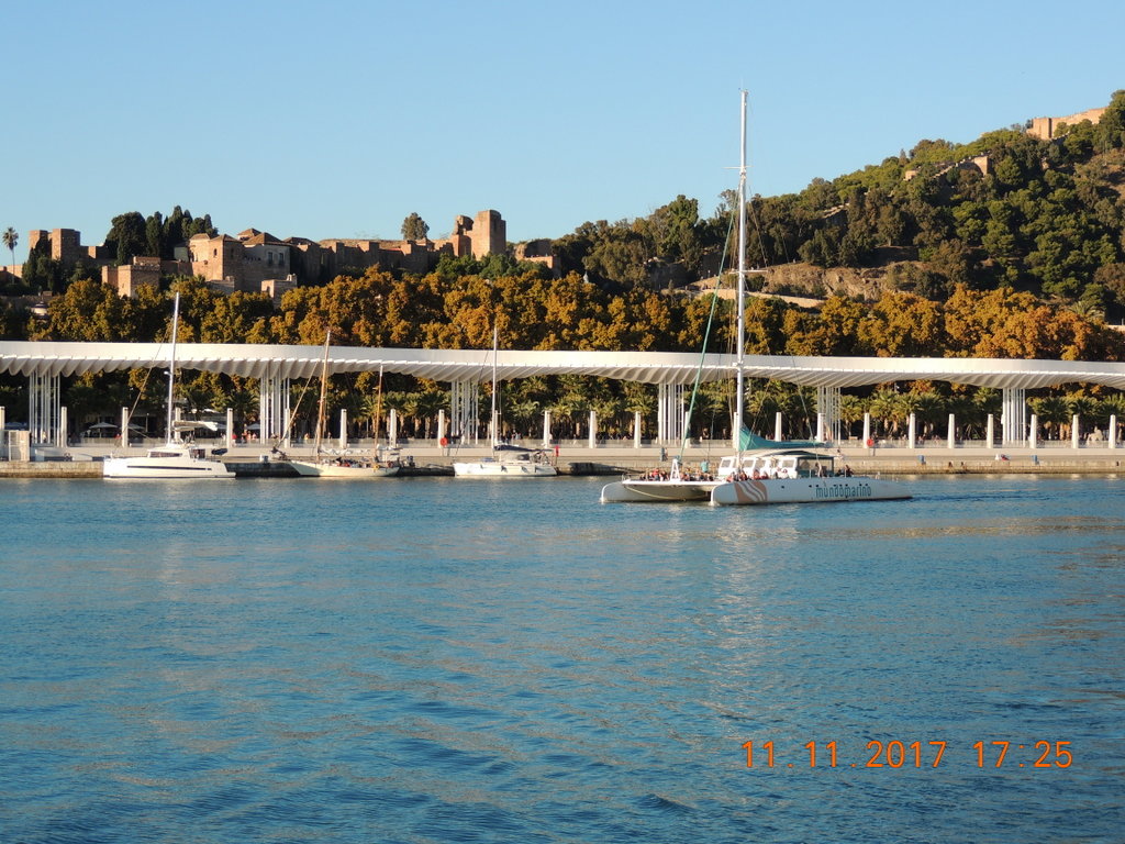 Foto n.128 - (Cliccare per chiudere la finestra)