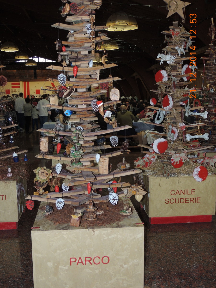 Foto n.16 - (Cliccare per chiudere la finestra)