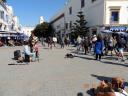 Foto n.181 - (cliccare per ingrandire la foto)