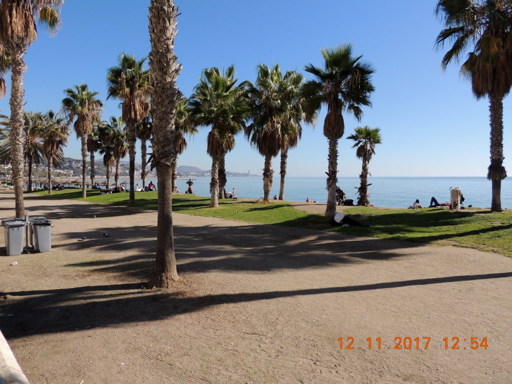 Foto n.206 - (Cliccare per chiudere la finestra)