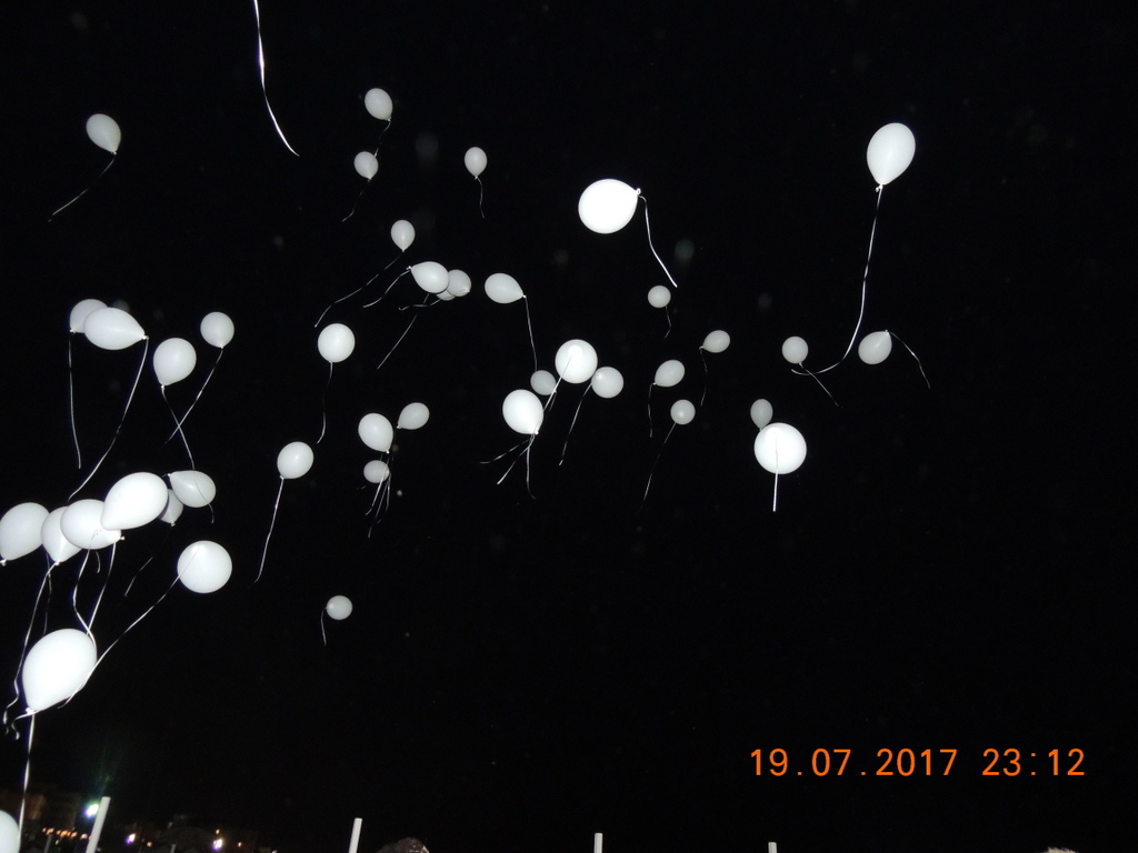 Foto n.48 - (Cliccare per chiudere la finestra)