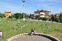 Foto n.25 - (cliccare per ingrandire la foto)