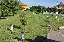 Foto n.24 - (cliccare per ingrandire la foto)