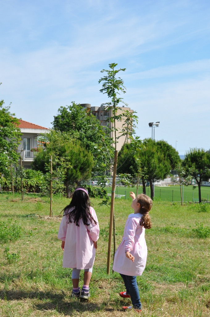 Foto n.6 - (Cliccare per chiudere la finestra)