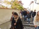 Foto n.93 - (cliccare per ingrandire la foto)