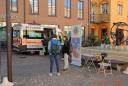 Foto n.2 - (cliccare per ingrandire la foto)