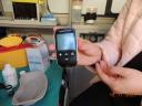 Foto n.12 - (cliccare per ingrandire la foto)
