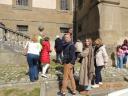 Foto n.88 - (cliccare per ingrandire la foto)