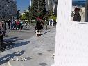 Foto n.23 - (cliccare per ingrandire la foto)