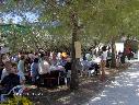 Foto n.8 - (cliccare per ingrandire la foto)