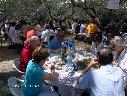Foto n.14 - (cliccare per ingrandire la foto)