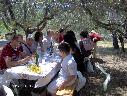 Foto n.18 - (cliccare per ingrandire la foto)