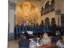 Foto n.14 - (cliccare per ingrandire la foto)
