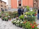 Foto n.34 - (cliccare per ingrandire la foto)
