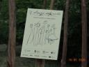 Foto n.42 - (cliccare per ingrandire la foto)