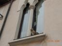 Foto n.59 - (cliccare per ingrandire la foto)